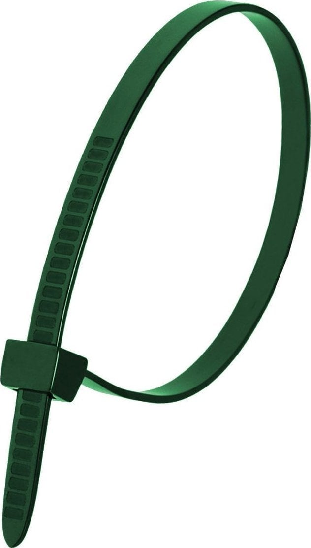 Dedra Nylonowe opaski zaciskowe zielone 7,6x370mm (100szt.)