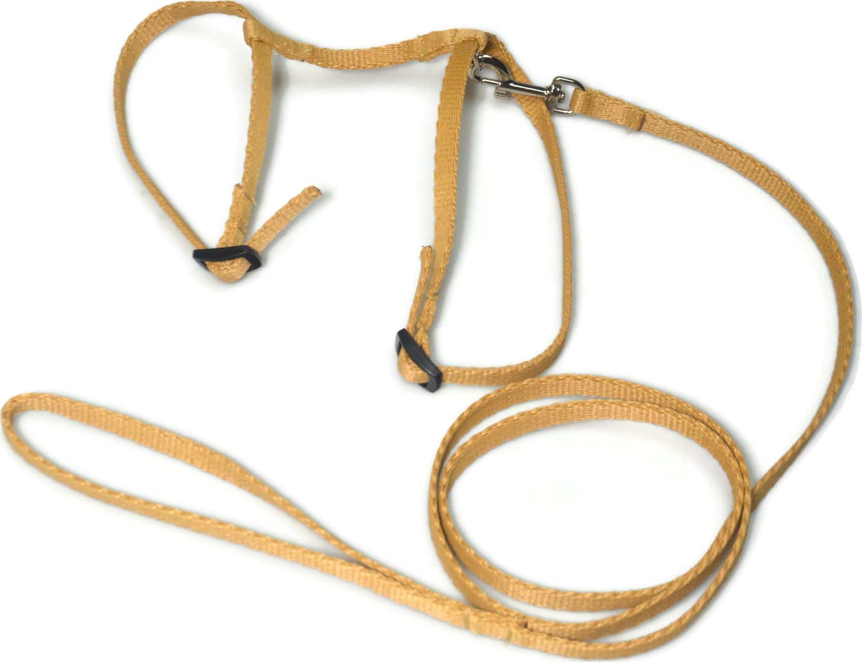 Alizoo Komplet dla kota, pasuje jak dla kociąt tak i dorosłemu. smycz szelki - ALIZOO