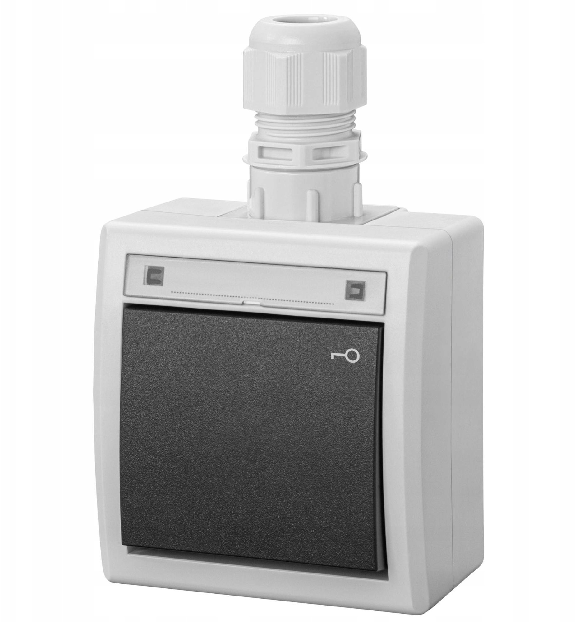 Elektro-Plast AQUANT 2K natynkowy łącznik zwierny klucz IP65 szary 5007-65