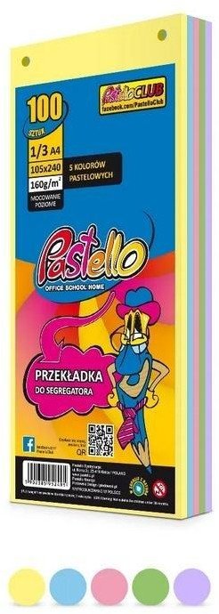 Przekładka do segregatora 1/3 A4 100K 5 kolorów