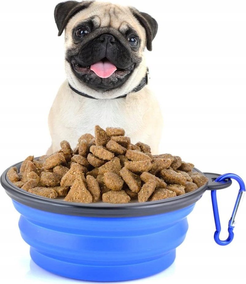 Korbi SILIKONOWA MISKA DLA PSA KOTA SKŁADANA 0,3L NIEBIE