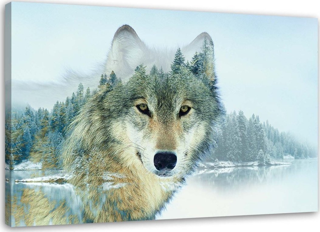 Feeby Obraz na płótnie, Wilk na tle gór - 90x60