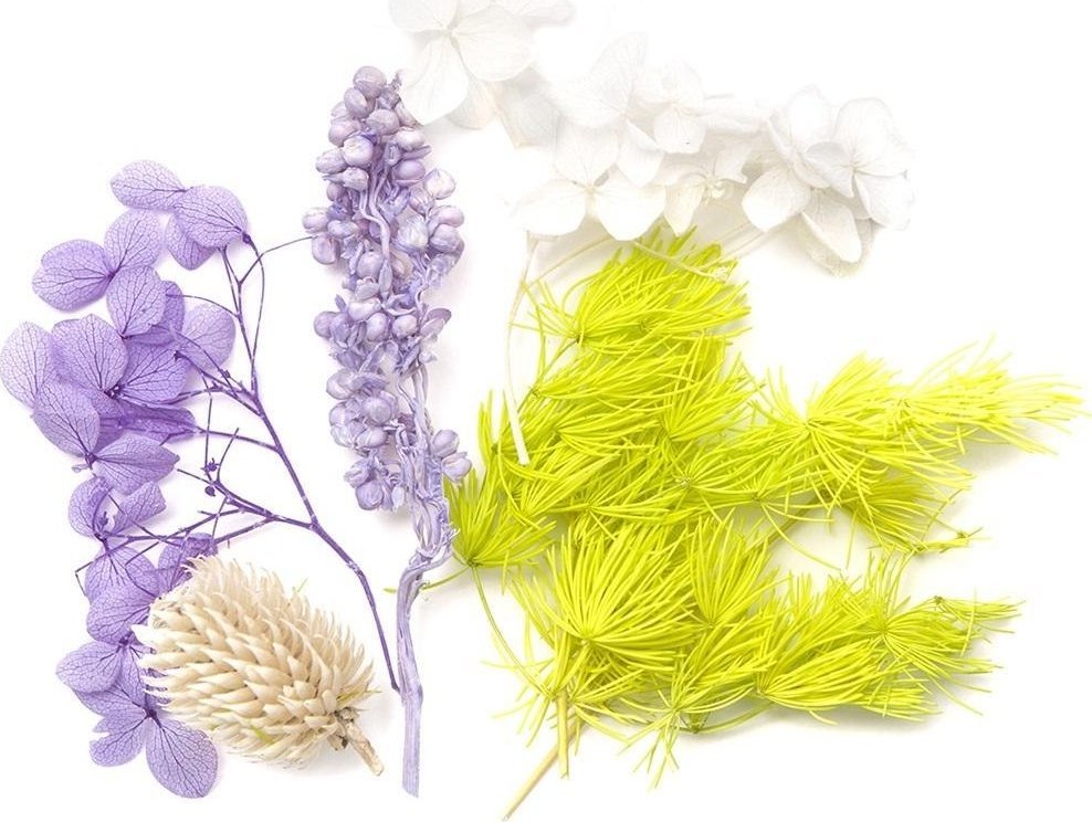 DKD Home Decor Kwiaty suszone dekoracyjne liliowy biały