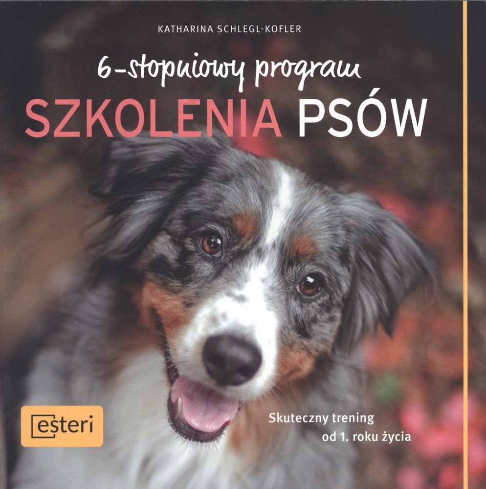 6-stopniowy program szkolenia psów. Skuteczny trening od pierwszego roku życia