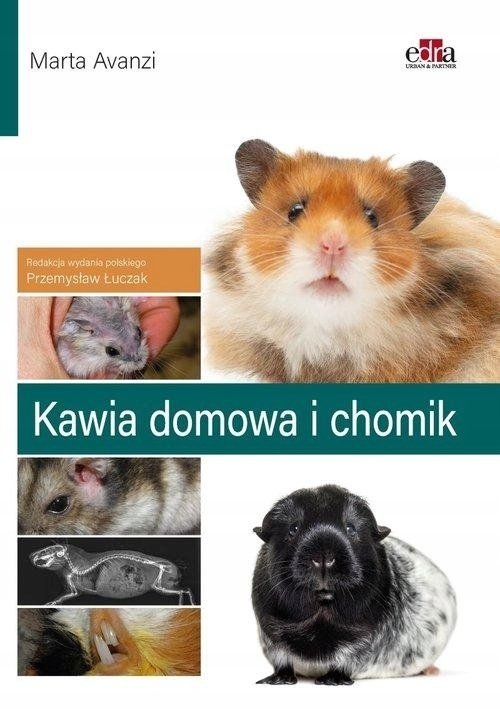 Kawia domowa i chomik