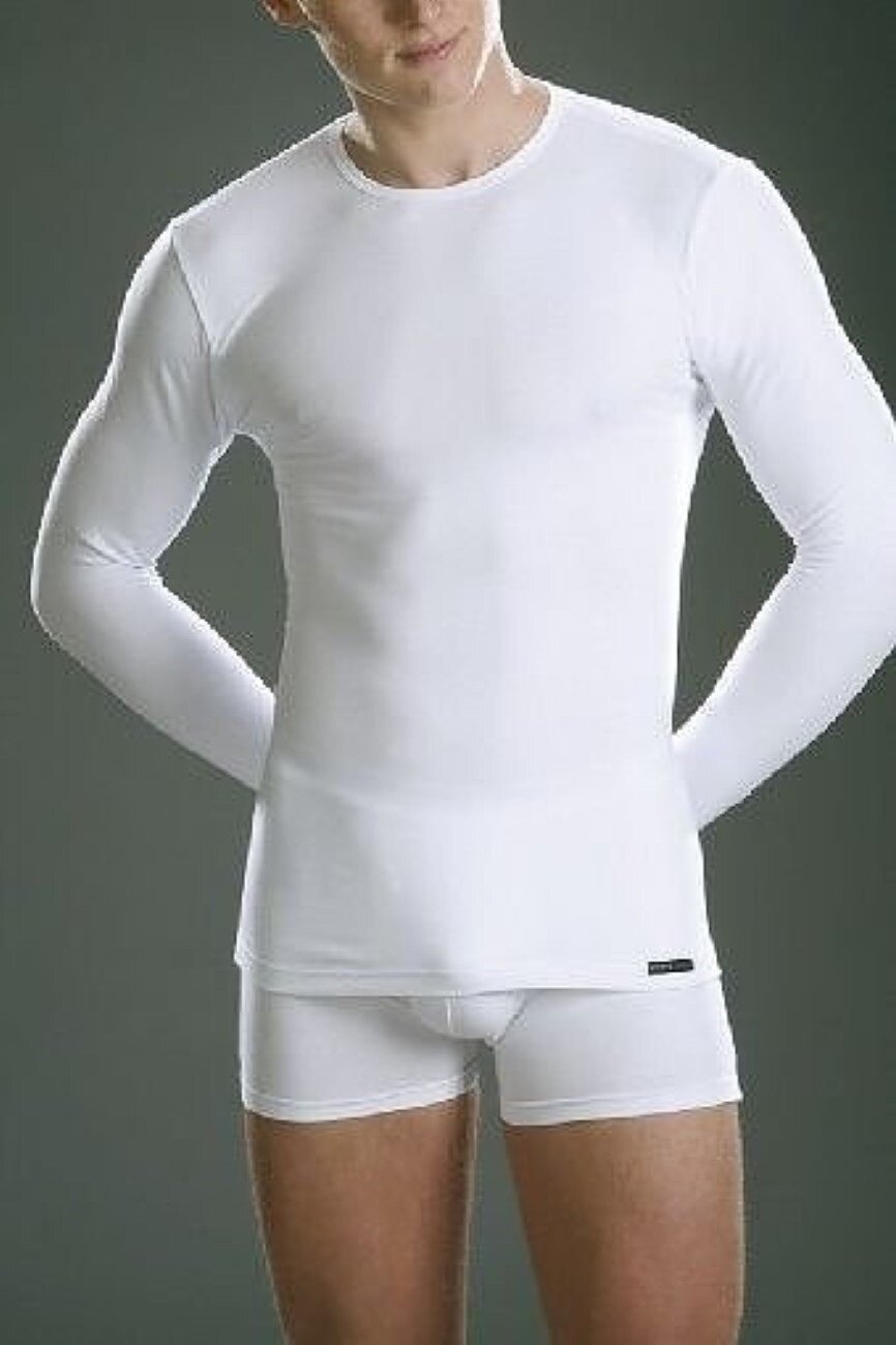 Koszulka męska Authentic 214 L