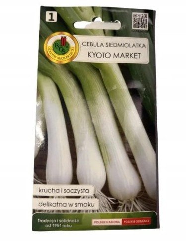 Nasiona cebula siedmiolatka soczysta krucha i delikatna