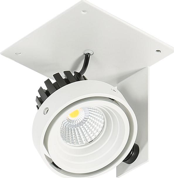 Lampa sufitowa Italux Patrizio Single 3000K GL7118-1/1X12W 3000K WH+BL