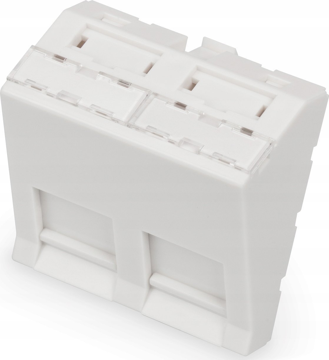 Digitus ZUB Digitus Front Panel 2-port angled