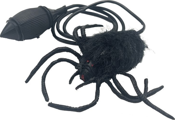 Pająk skaczący K260 45168