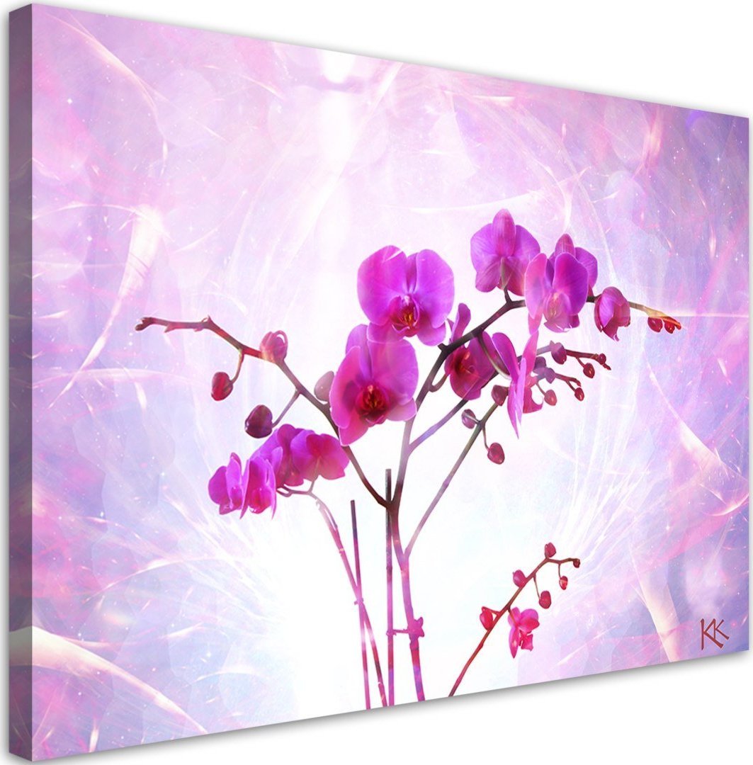 Feeby Obraz na płótnie, Eteryczna orchidea - 120x80