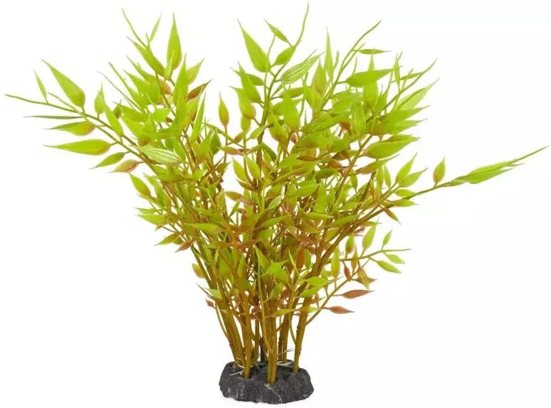 Aqua Natura, roślina, do dekoracji akwarium, zielona , plastikowa, 20 cm , brązowe gałezie