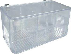 Zolux Kotnik na 5 sposobów