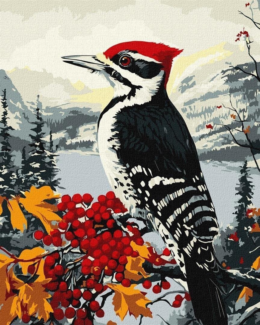 Malowanie po numerach - Dzięcioł na gałęzi 40x50cm