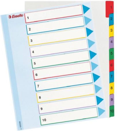 Esselte Przekładki do segregatora A4 Mylar ze stroną opisową (10K200A)