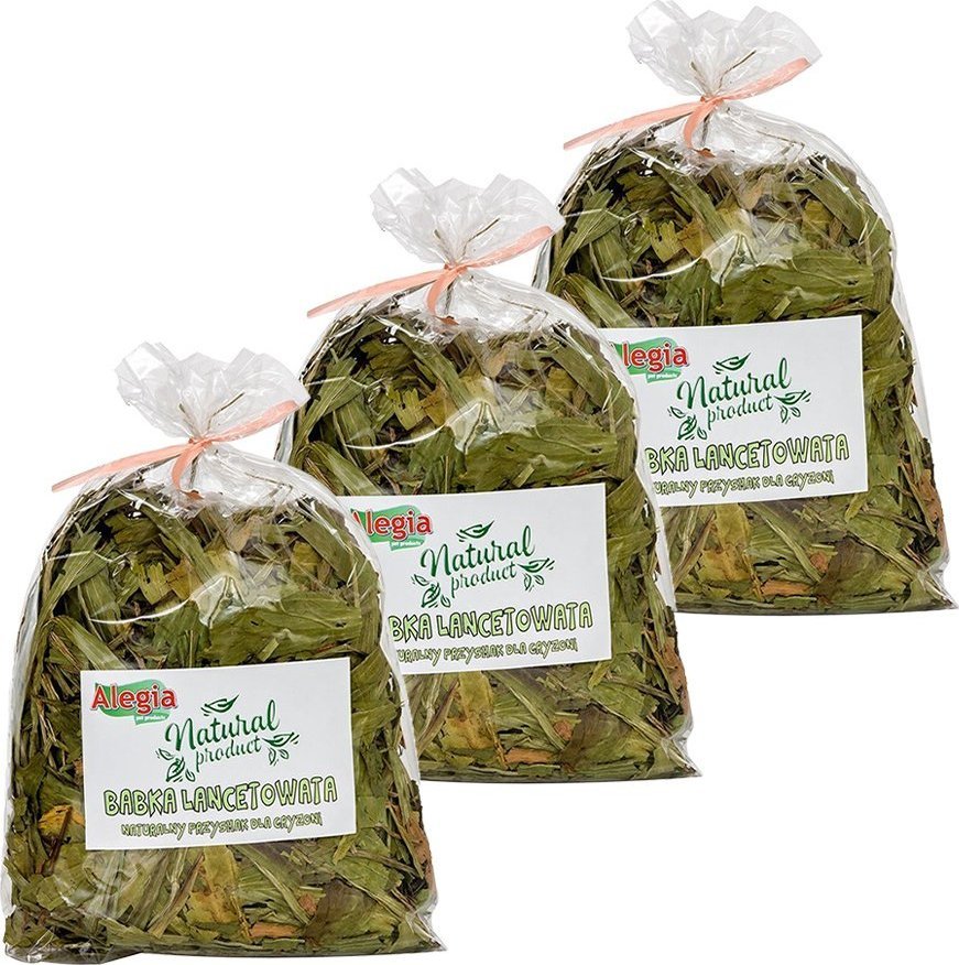 Alegia ALEGIA Babka Lancetowata 3x100g
