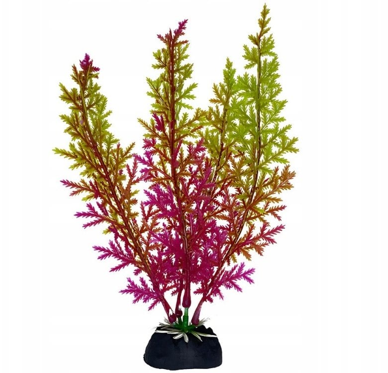 Terra Natura Aqua Natura, roślina, do dekoracji akwarium, fioletowo-seledynowa, plastikowa, 18 cm, wodorost koralowy