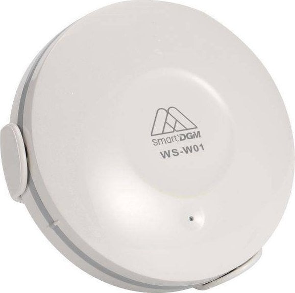DGM DGM WS-W01