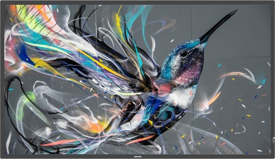 Monitor Philips Q-Line 65BDL3511Q/00