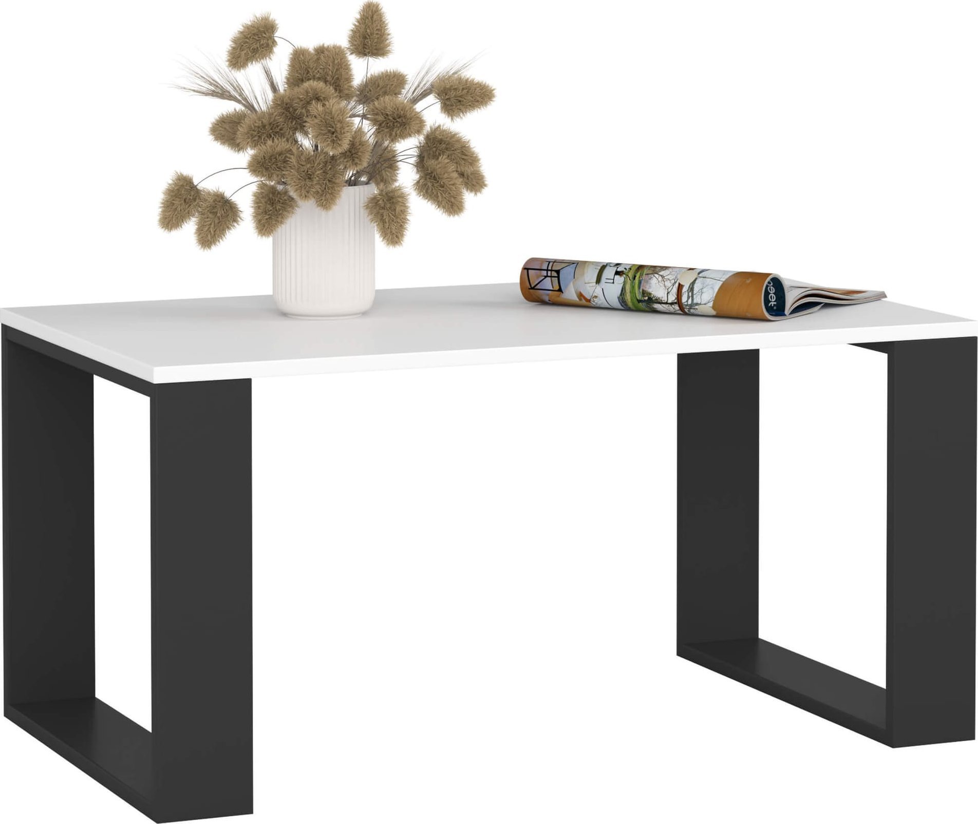 Fabryka Mebli Akord STOLIK KAWOWY NOX BIAŁY / CZARNY