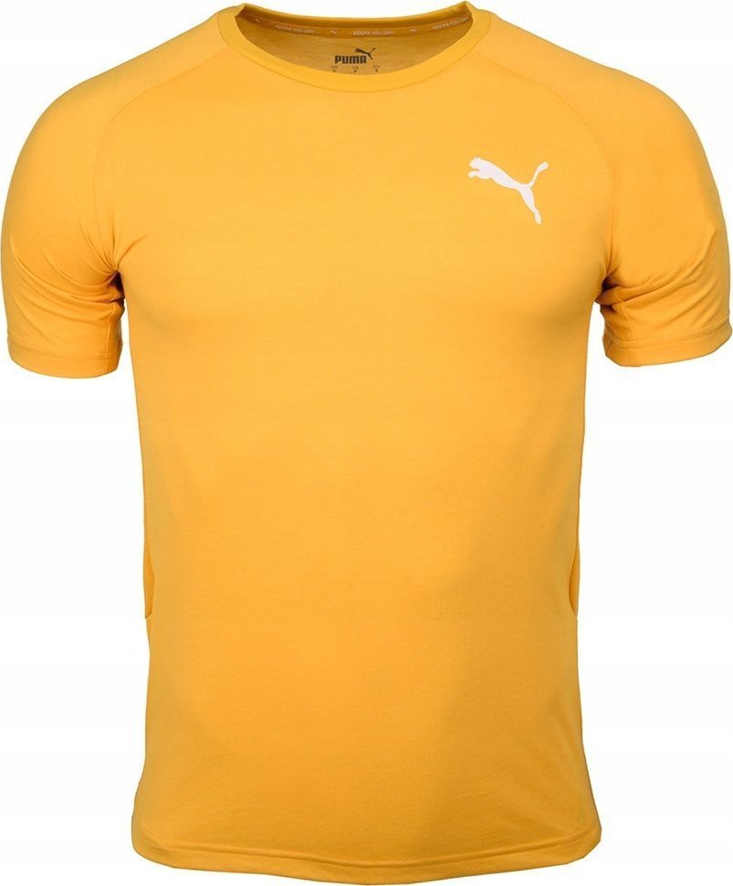 Puma Koszulka męska Puma Evostripe Lite Tee żółta 581534 25 S