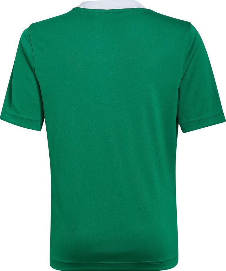 Adidas Koszulka adidas ENTRADA 22 JSY Y HI2126 HI2126 zielony 140 cm