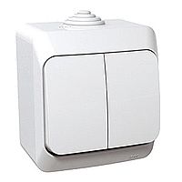 Schneider Electric Łącznik świecznikowy Cedar Plus biały IP44 (WDE000550)