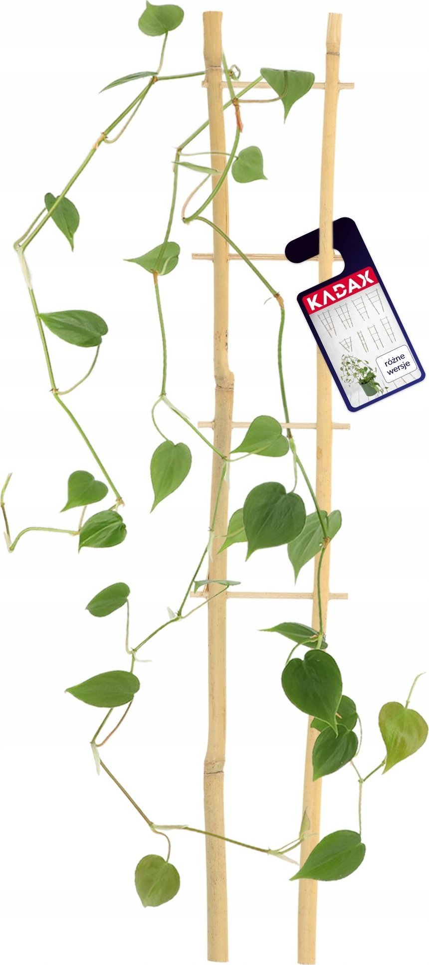 Kadax Drabinka Bambusowa Podpora Pnączy Podwójna 38cm