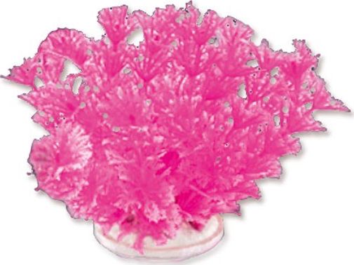 Happet Roślina folia 10cm 1f16 Happet