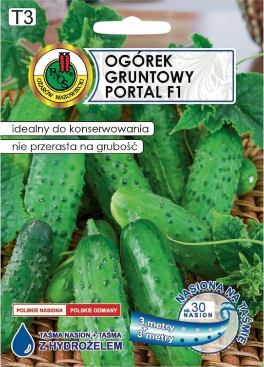 Ogórek Traper F1 taśma 6m Plenna odmiana średnio wczesna do konserwowania