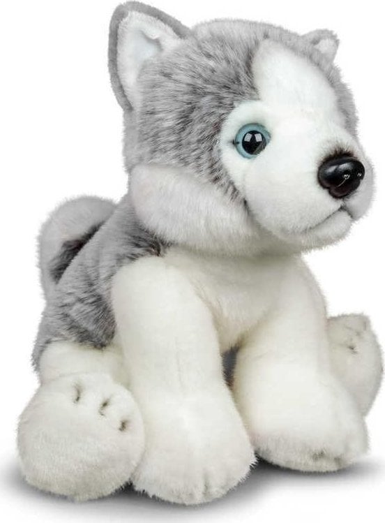Pluszowy Husky