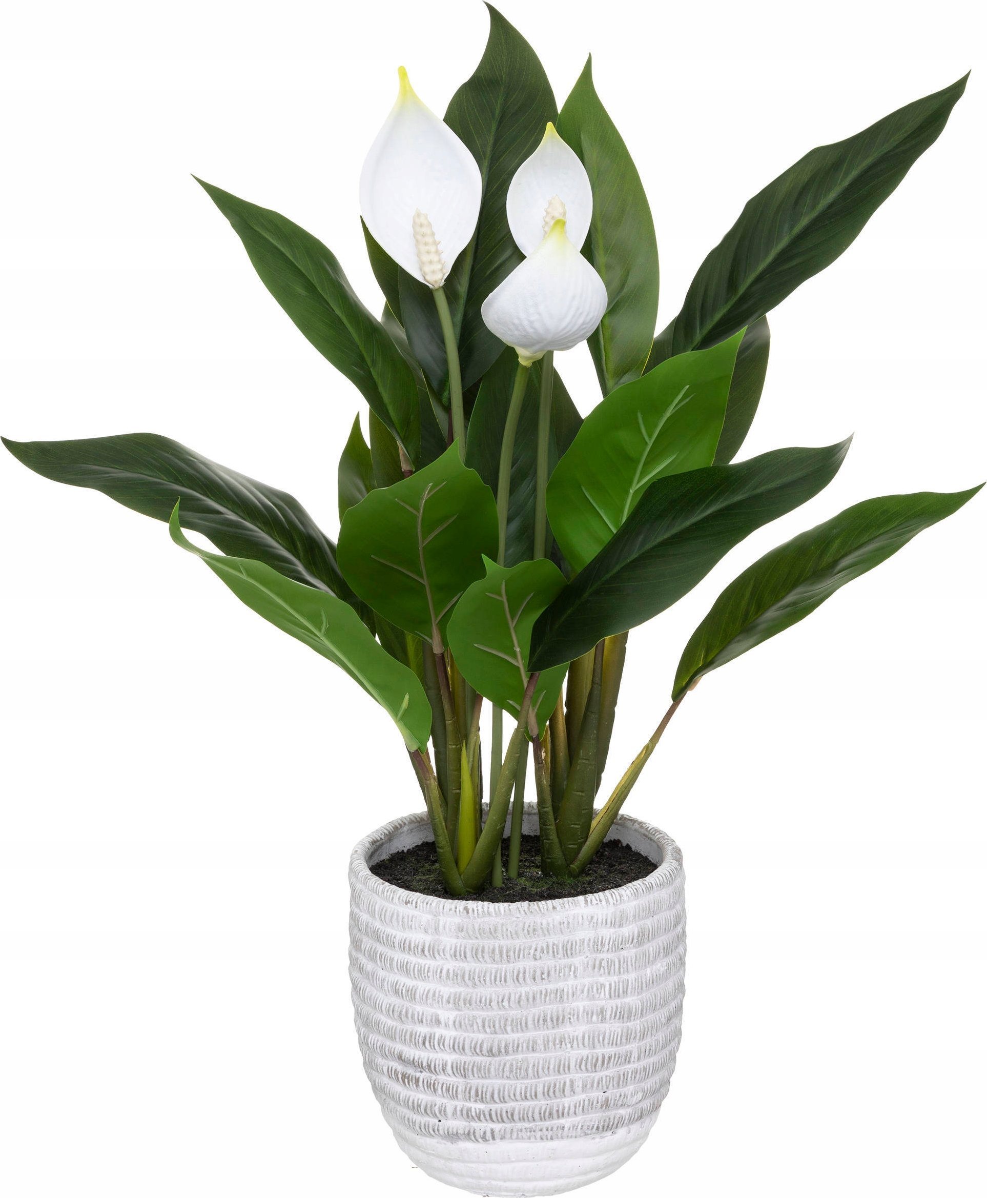 Atmosphera Sztuczny SKRZYDŁOKWIAT, 54 cm