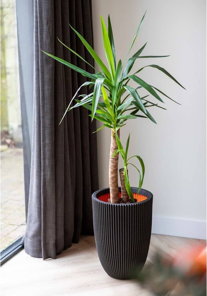 Capi Elegancka donica Groove, 46x58 cm, czarna