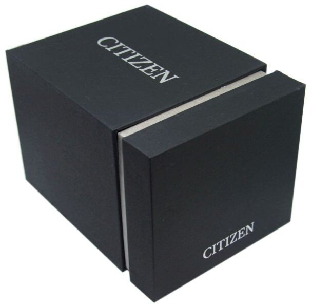 Zegarek Citizen Eco-Drive BM7108-14E