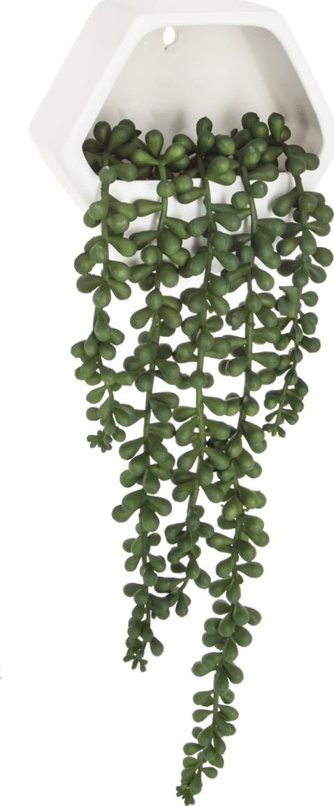 Atmosphera Roślina sztuczna Starzec zwisający