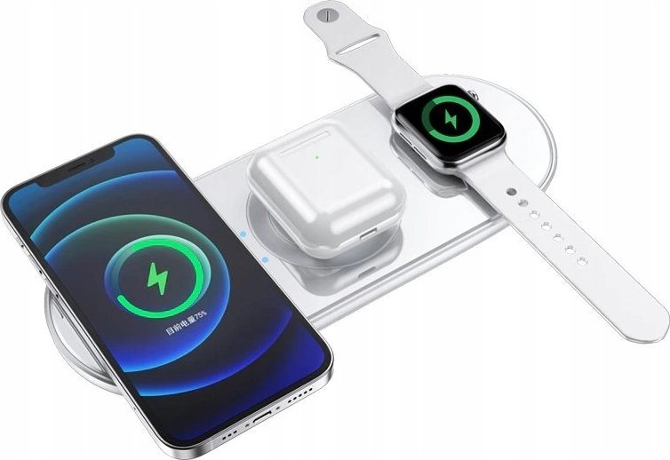 Ładowarka Pawonik Indukcyjna 2 A