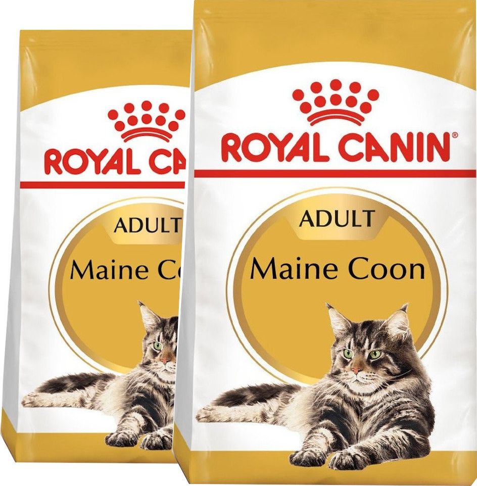 Royal Canin ROYAL CANIN Maine Coon Adult 2x10kg karma sucha dla kotów dorosłych rasy maine coon