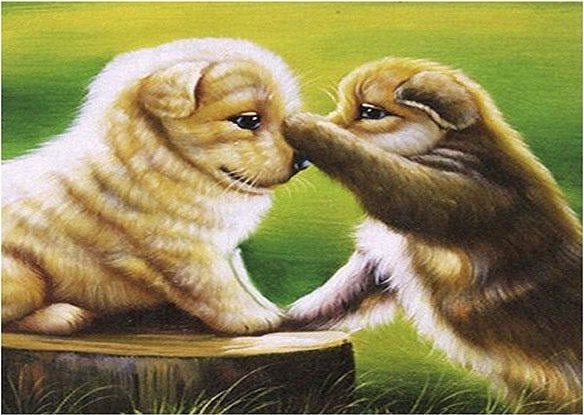 Norimpex Mozaika diamentowa 5D - Psy 40x30cm