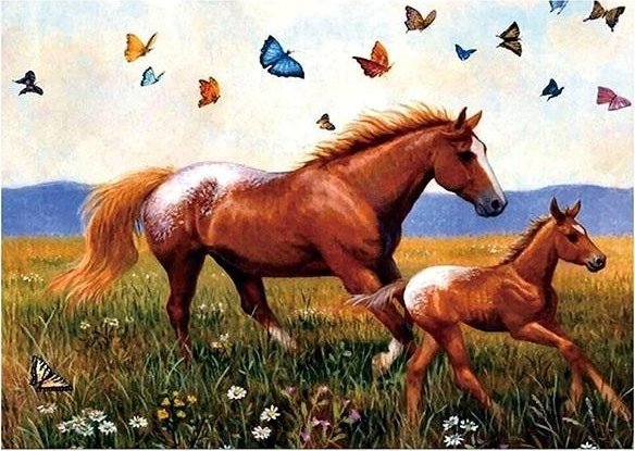 Norimpex Mozaika diamentowa 5D - Konie 40x30cm