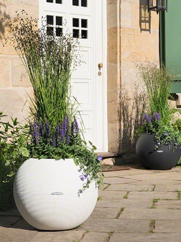 Lechuza Vazonas Lechuza Puro Color 50, įv. spalvų