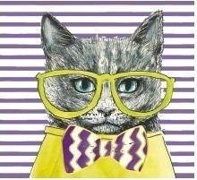 HENRY Karnet KW Kot seledyn