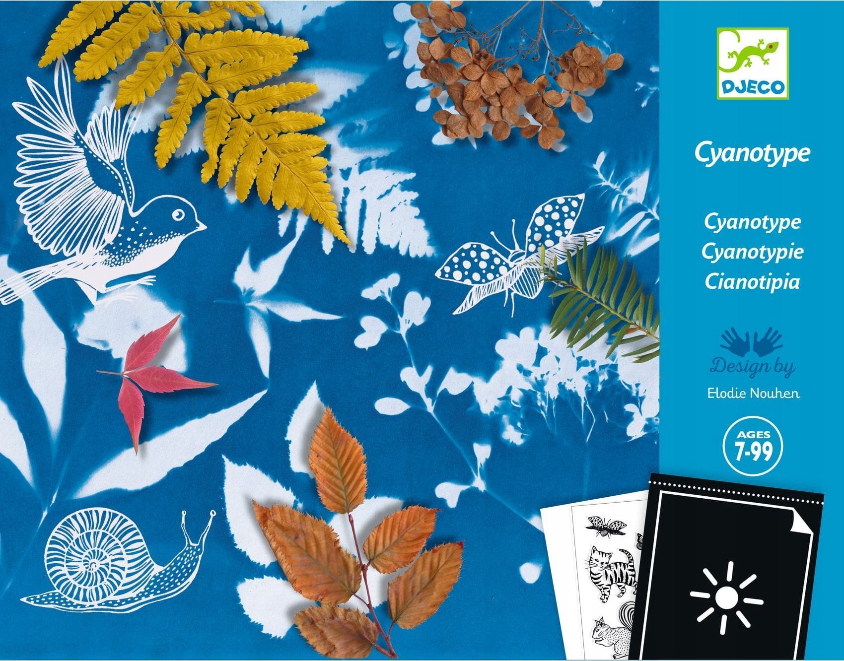 Djeco Cianotipija - Pradinis rinkinys