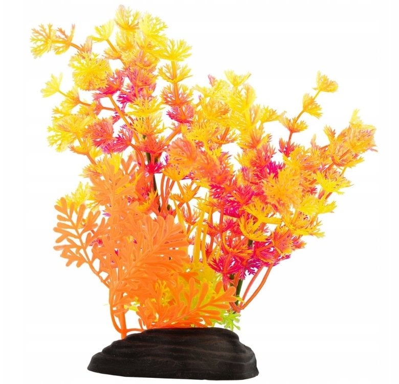 Terra Natura Aqua Natura, roślina, do dekoracji akwarium, mix kolorów, plastikowa, 20 cm, paprotka i spirulina