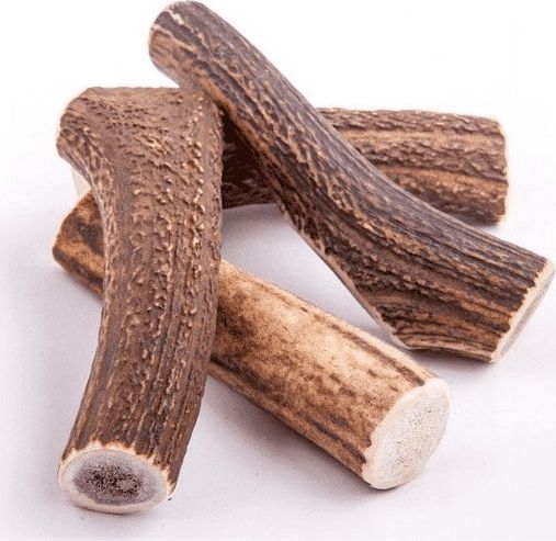 4DOGS GRYZAK XS (HARD)