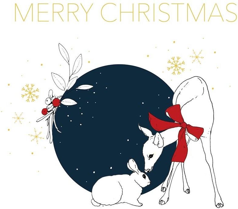 Clear Creation Karnet Swarovski kwadrat. Święta Sarna