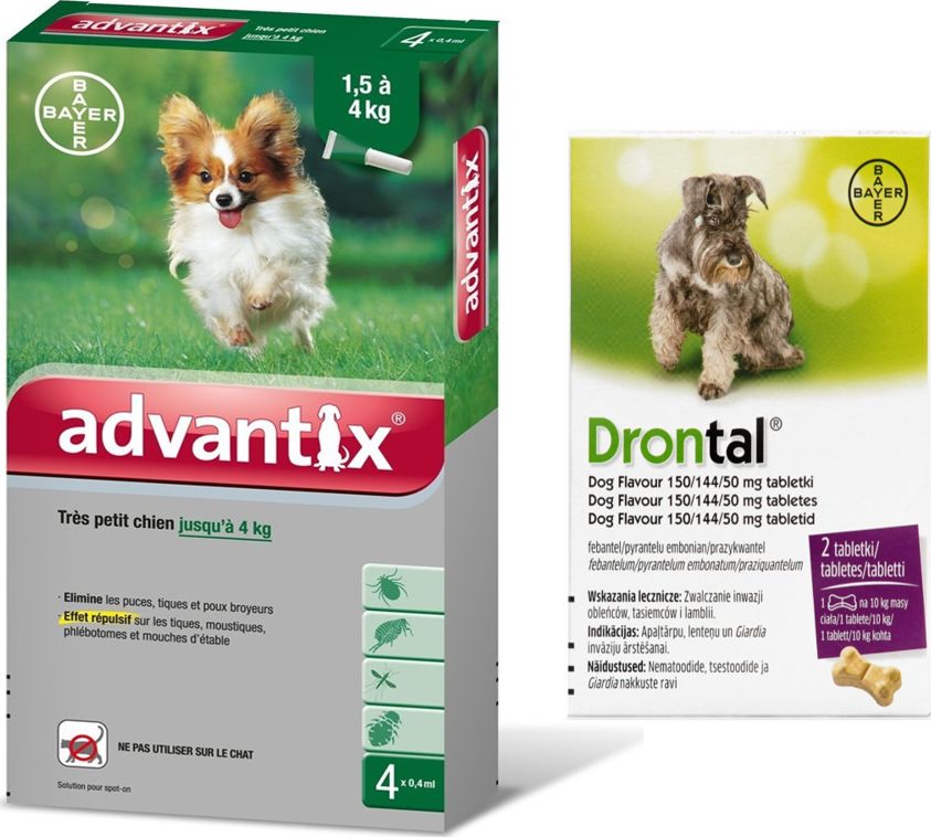 Bayer Advantix - dla psów do 4kg (4 pipety x 0,4ml) + Drontal - Dog flavour 2tabl. (kostki)