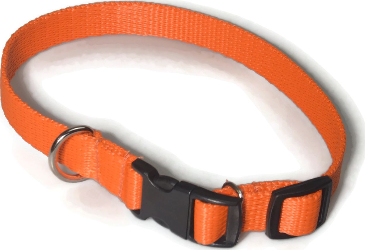 Alizoo Obroża dla średniego psa 16mm/24-42cm - ALIZOO