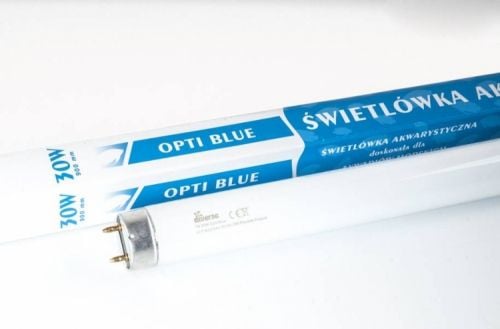 Diversa ŚWIETLÓWKA T8 BLUE 30W