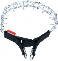 Champion Kolczatka [2T]