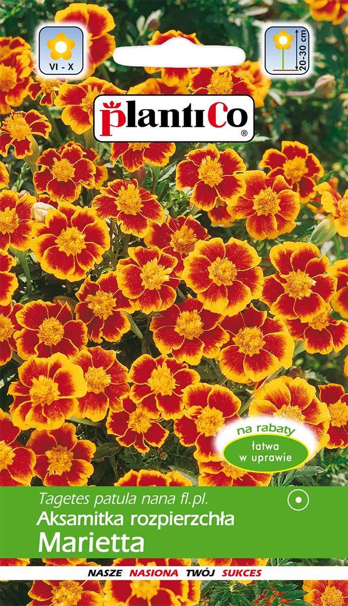 Plantico Aksamitka Rozpierzchła Marietta 1g PlantiCo